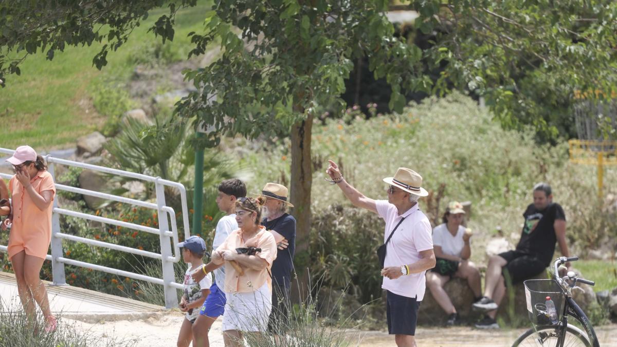 José Ortega Cano se refugia en Cádiz tras la polémica por la custodia de su  nieta